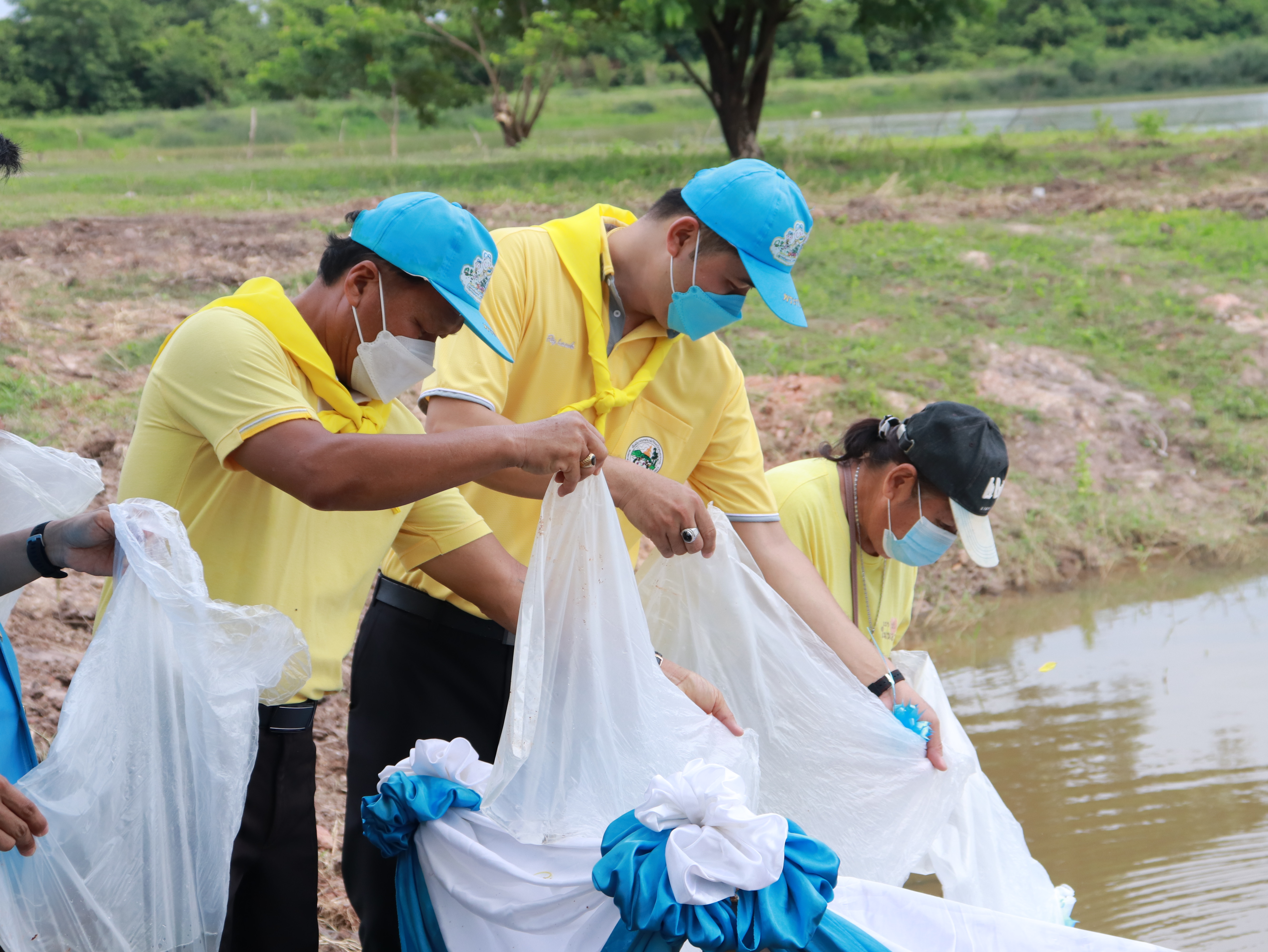 ภาพที่ 29