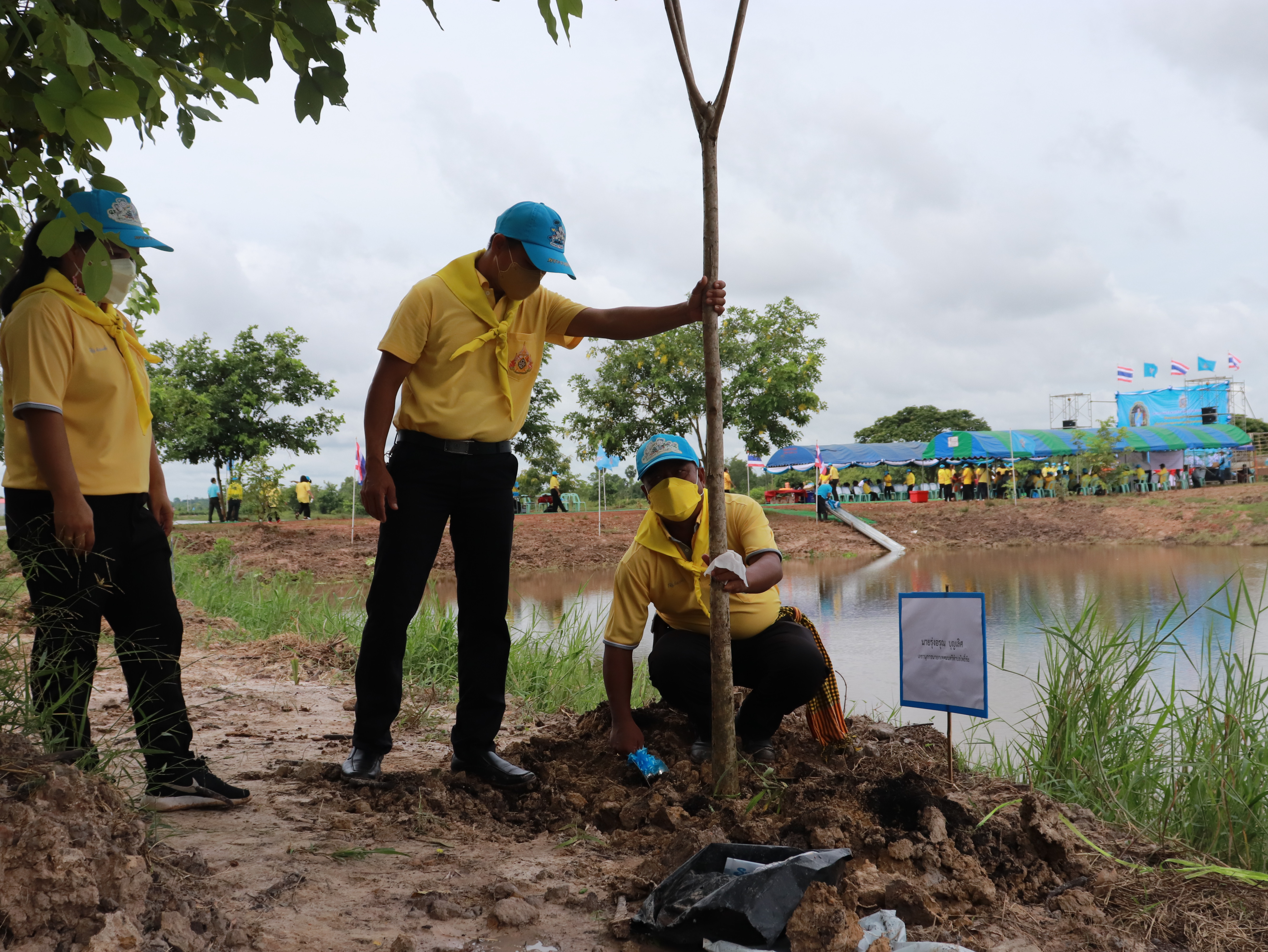 ภาพที่ 44