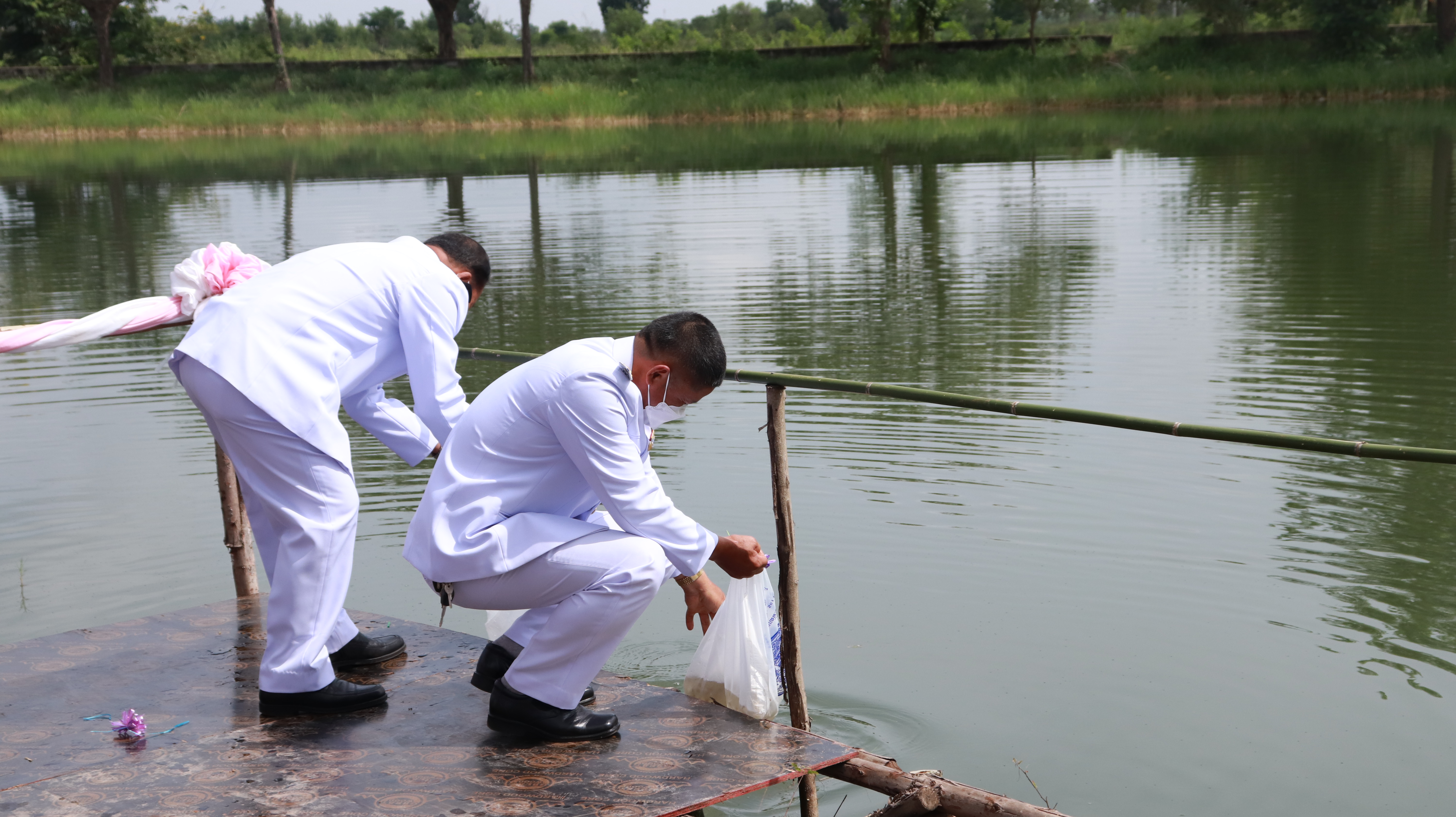 ภาพที่ 46
