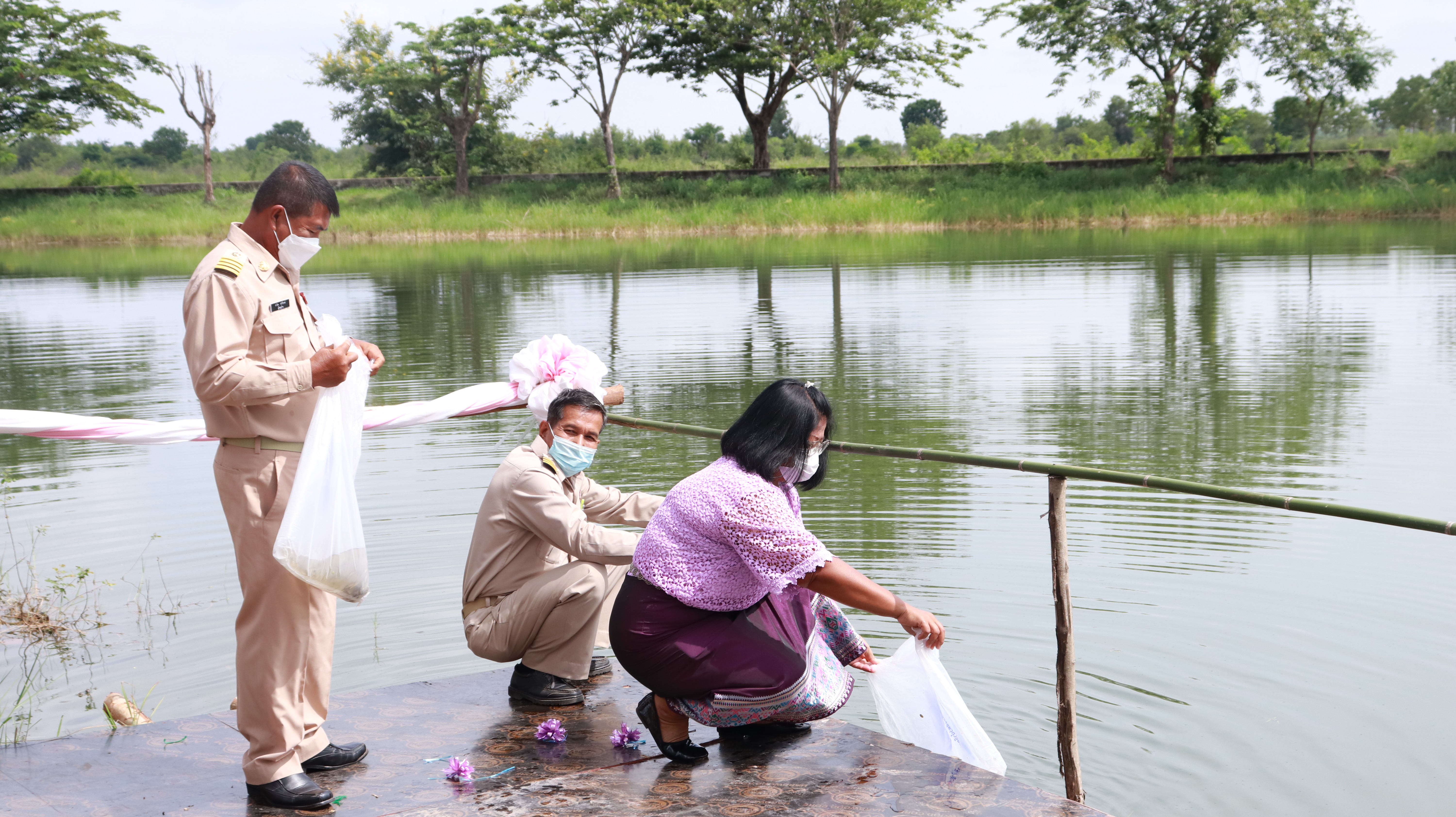 ภาพที่ 47
